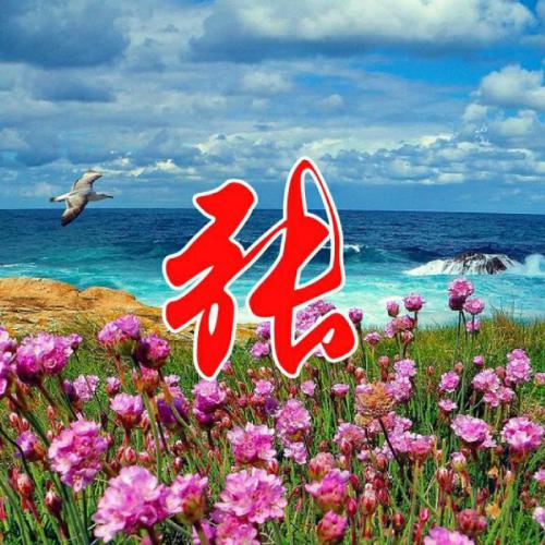 用姓氏做微信头像 8