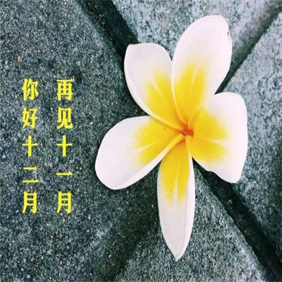 2023年顾建设微信励志头像 2