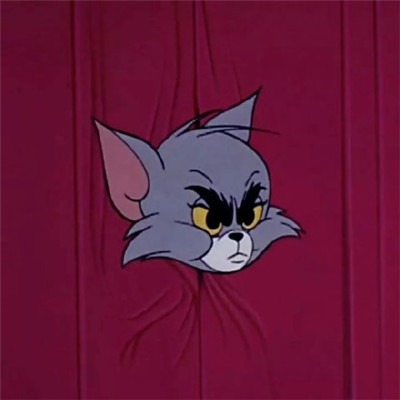 猫和老鼠搞笑头像 4