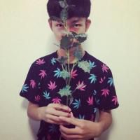 张柏芝壁纸男生网名干净