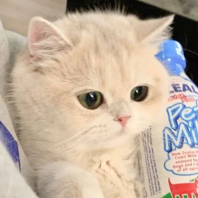2023情侣头像情侣专用 5