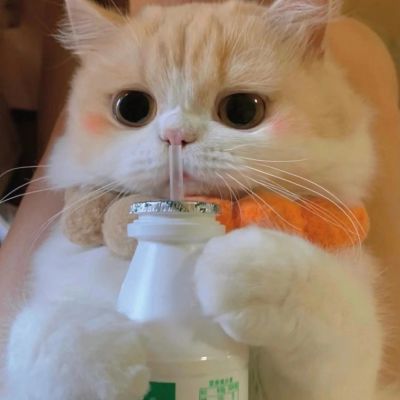 头像情侣高级氛围感 3
