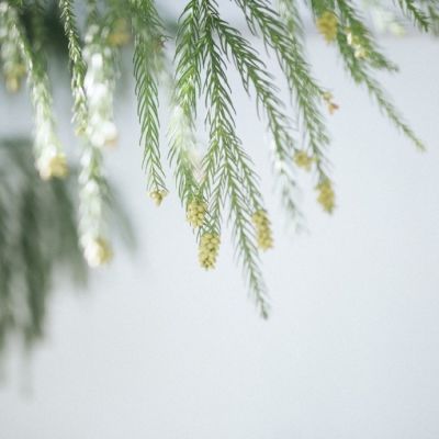 高清头像简约唯美清新 5