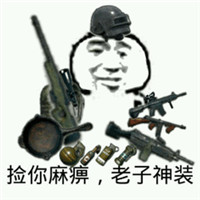 吃鸡大作战 头像 1