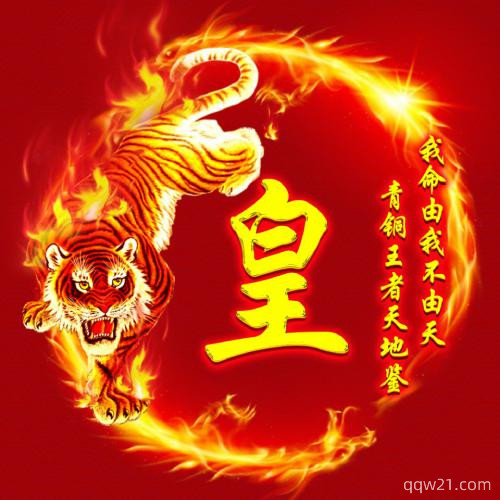 2023宋姓氏头像图片 2