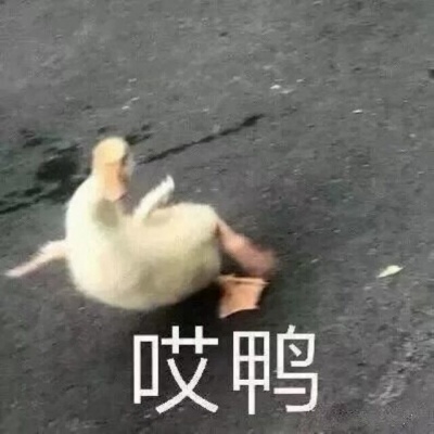怎么自制微信头像带字 3