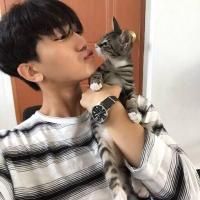 电脑qq怎么弄空白头像 3