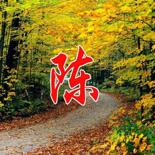 2023年虎年大吉姓氏头像肖 8
