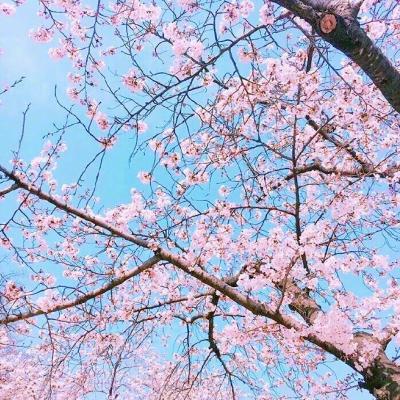 微信头像图片2023最新唯美好运 4