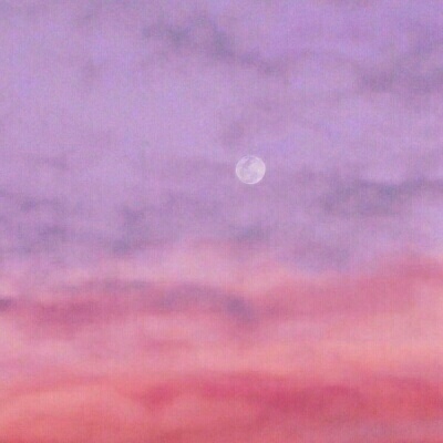 好运虎头像 9