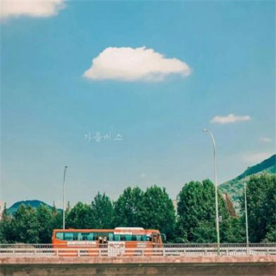 锦鲤招财吉利的微信头像 1