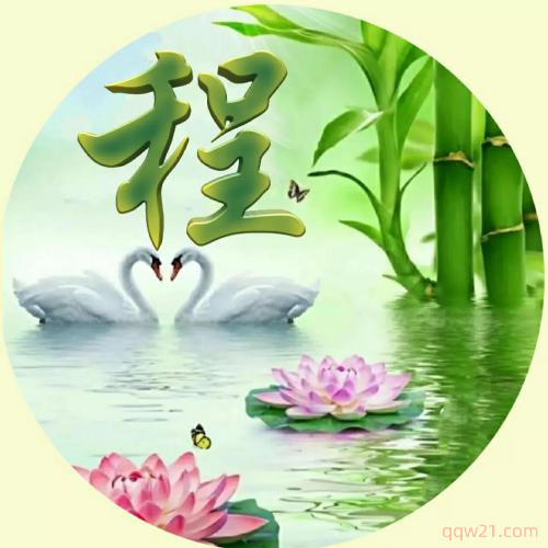 2023姓氏头像申字 8