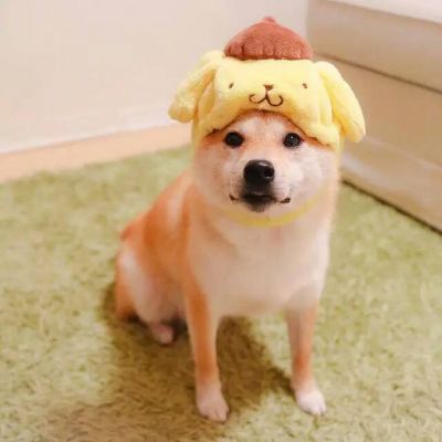 按生辰八字选微信头像 9