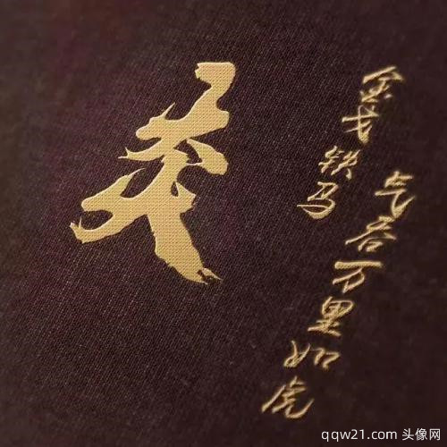 抖音截图怎么去掉头像和文字 4