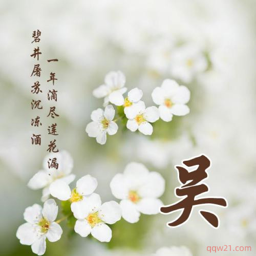 带姓氏的微信头像图片女 7