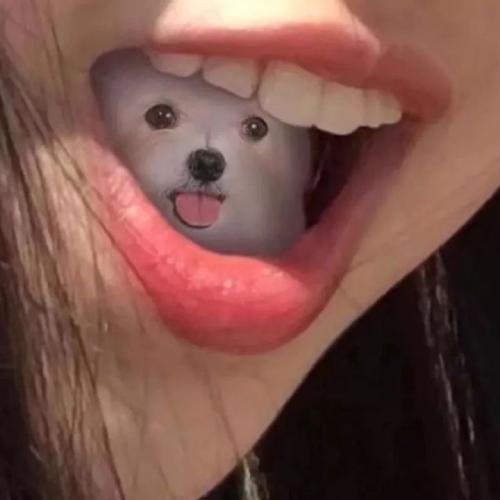 头像沙雕不是人 1
