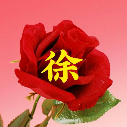 2023新款头像花朵女生好运 8