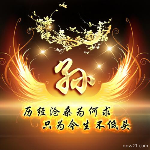自己怎么在手机上做姓氏头像 1