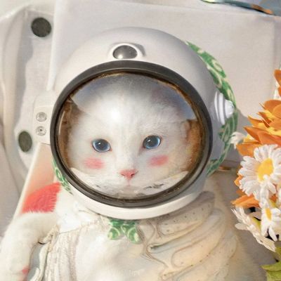 情侣动漫头像 6