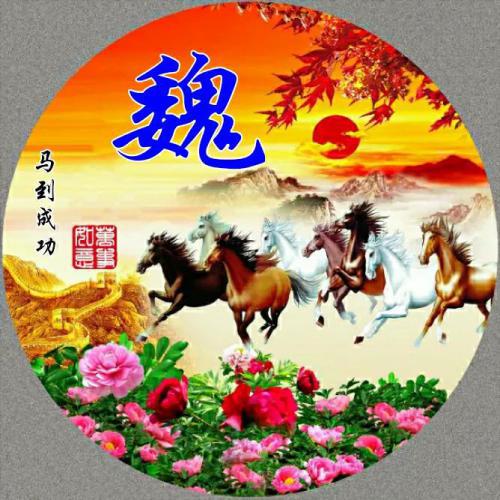 改变运气的微信头像属马 2