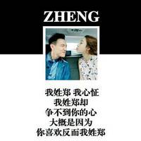 姓氏头像素材赵 4