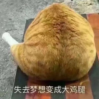 抖音搞笑头像图片大全 9