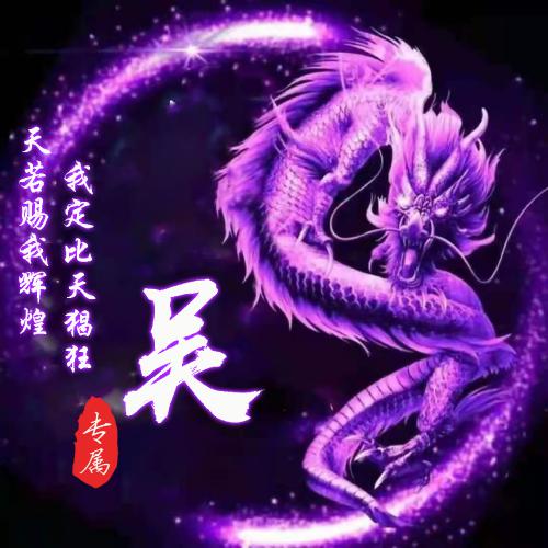 甲辰龙年刘姓微信头像 5