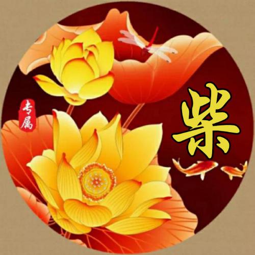 2023姓氏头像姓杜 6