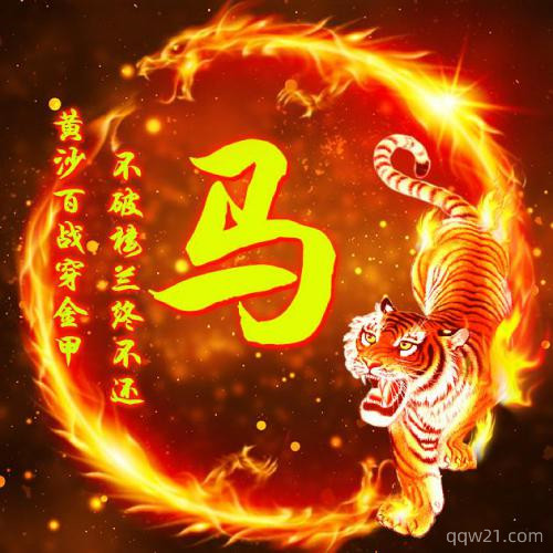 微信头像老虎霸气图片 3