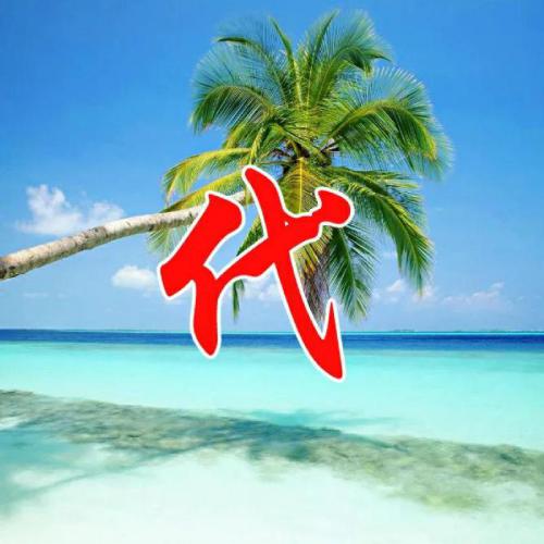 姓氏头像李 李姓氏 3