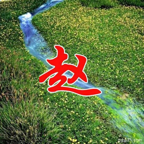 2023年最火爆的姓氏微信头像 1
