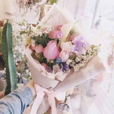 微信头像鲜花图片2023最新 7