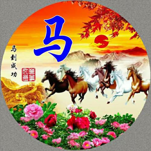 马蹄莲微信头像图片大全