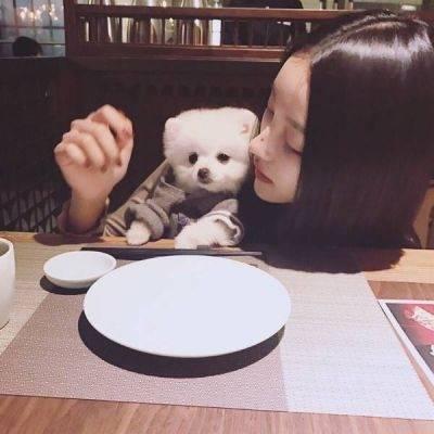 头像越怪本人越帅动物 6