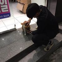 男士自拍头像模板 5