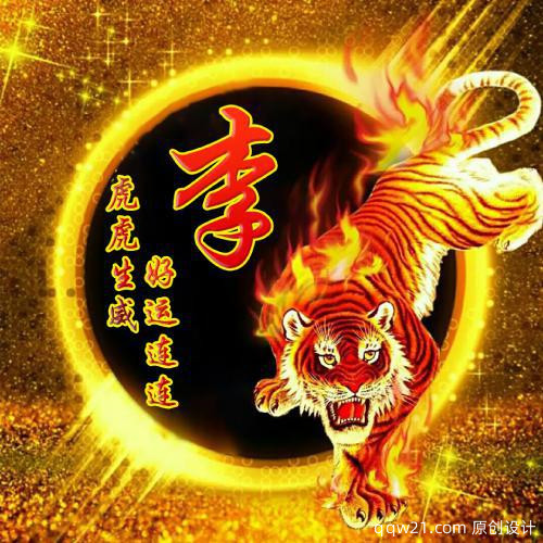 2023虎年姓氏最霸气的微信头像 6