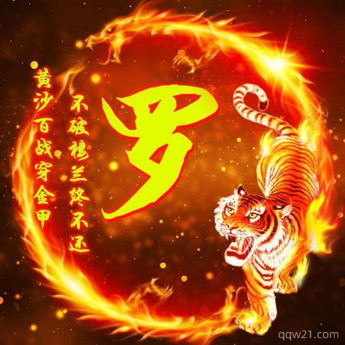 姓氏头像大全男用 9