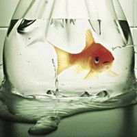 男人单身微信个性网名