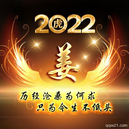 王姓氏微信头像男士专用