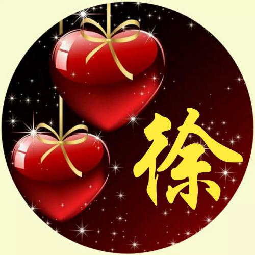2023姓氏头像图片刘 1