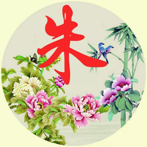 2023带来好运的微信头像姓氏 5