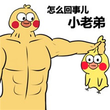 表情包头像