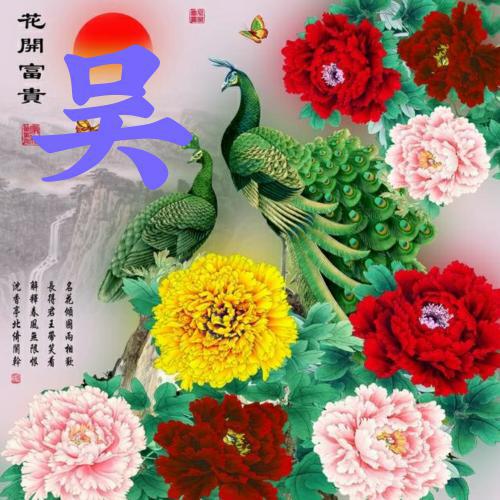 2023年微信头像女花朵图案 5