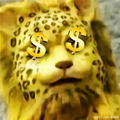 微信头像招财图片 4