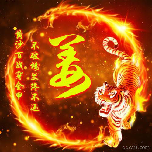 姓段的微信老虎头像大全 1