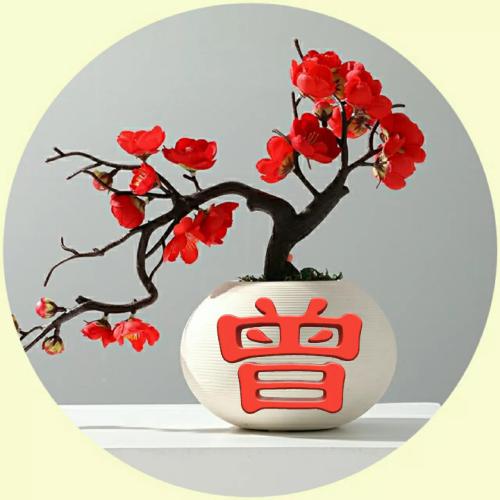 宋姓氏头像图片大全 3