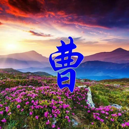带姓氏的头像 7