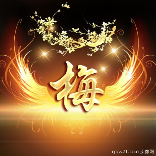 2023年最火爆的姓氏微信头像 4
