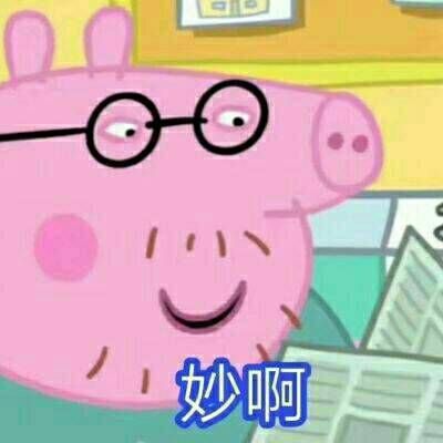 小猪佩奇骂人头像 4