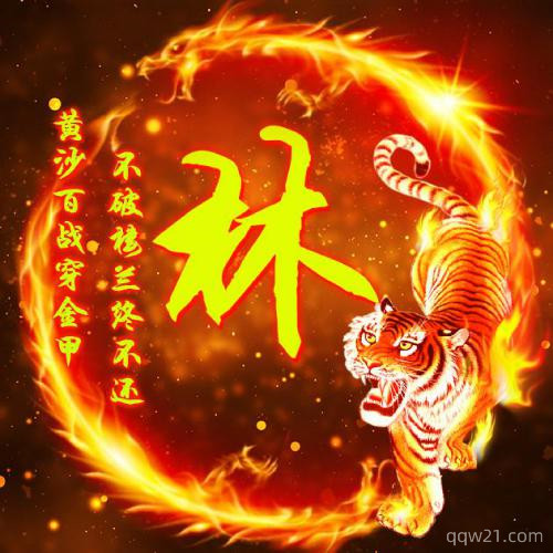 欧美成熟霸气网名女生